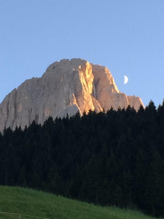 Hotel La Montanina Selva di Val Gardena Kültér fotó